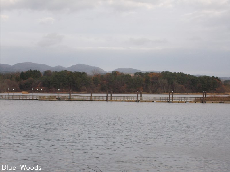 20201120 芦野公園