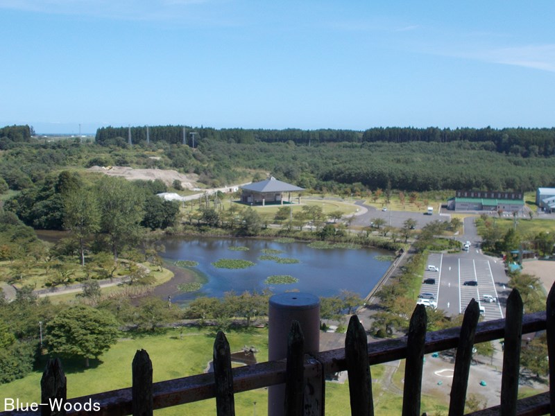 20220809 下田公園