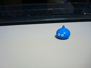 イメージ 4