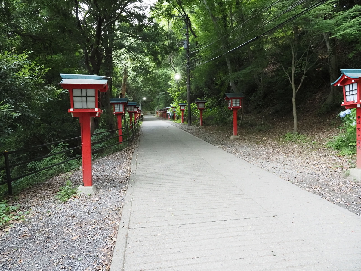 Takao様 確認用（高尾山のムササビ観察スポット。夜によく見かける 