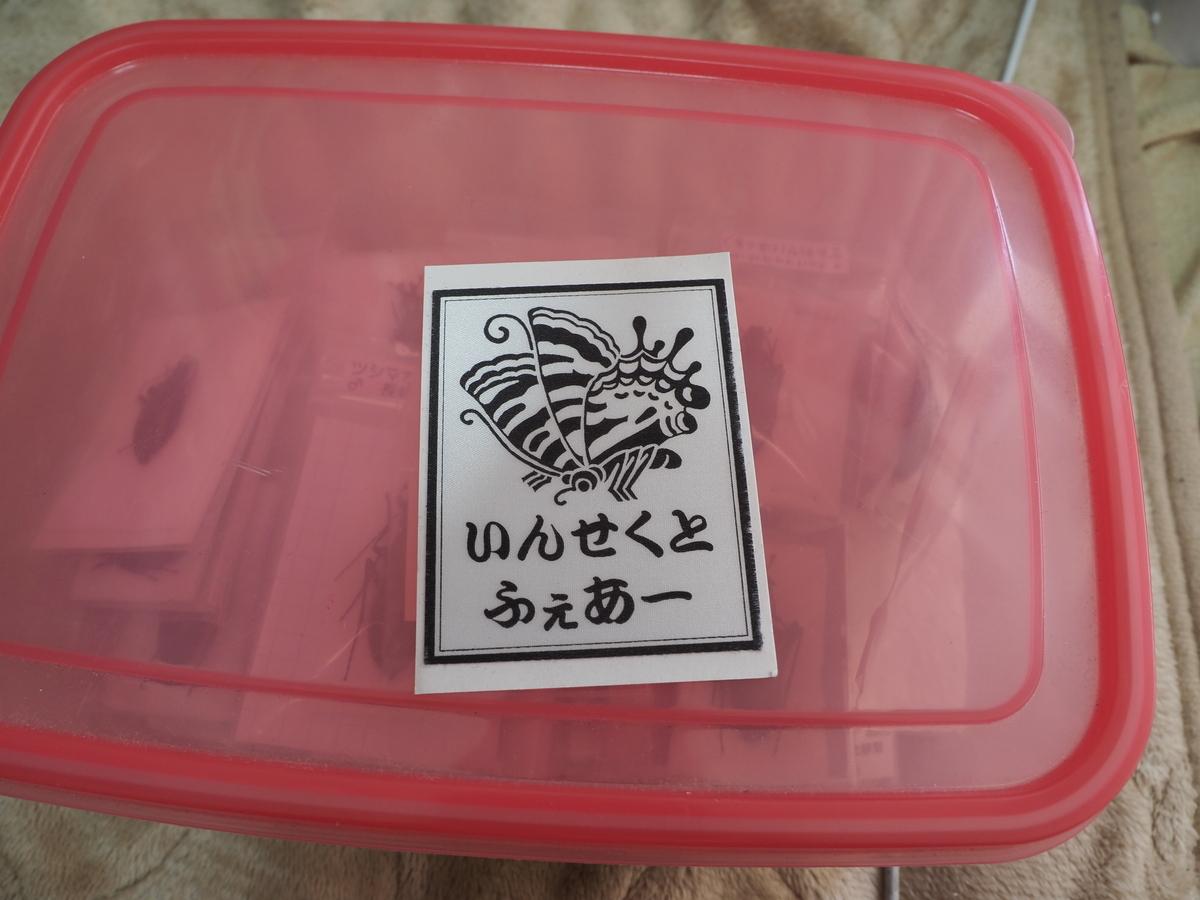 インセクトフェア2025に行ってきたので感想と戦利品の紹介 - 蓼食う虫