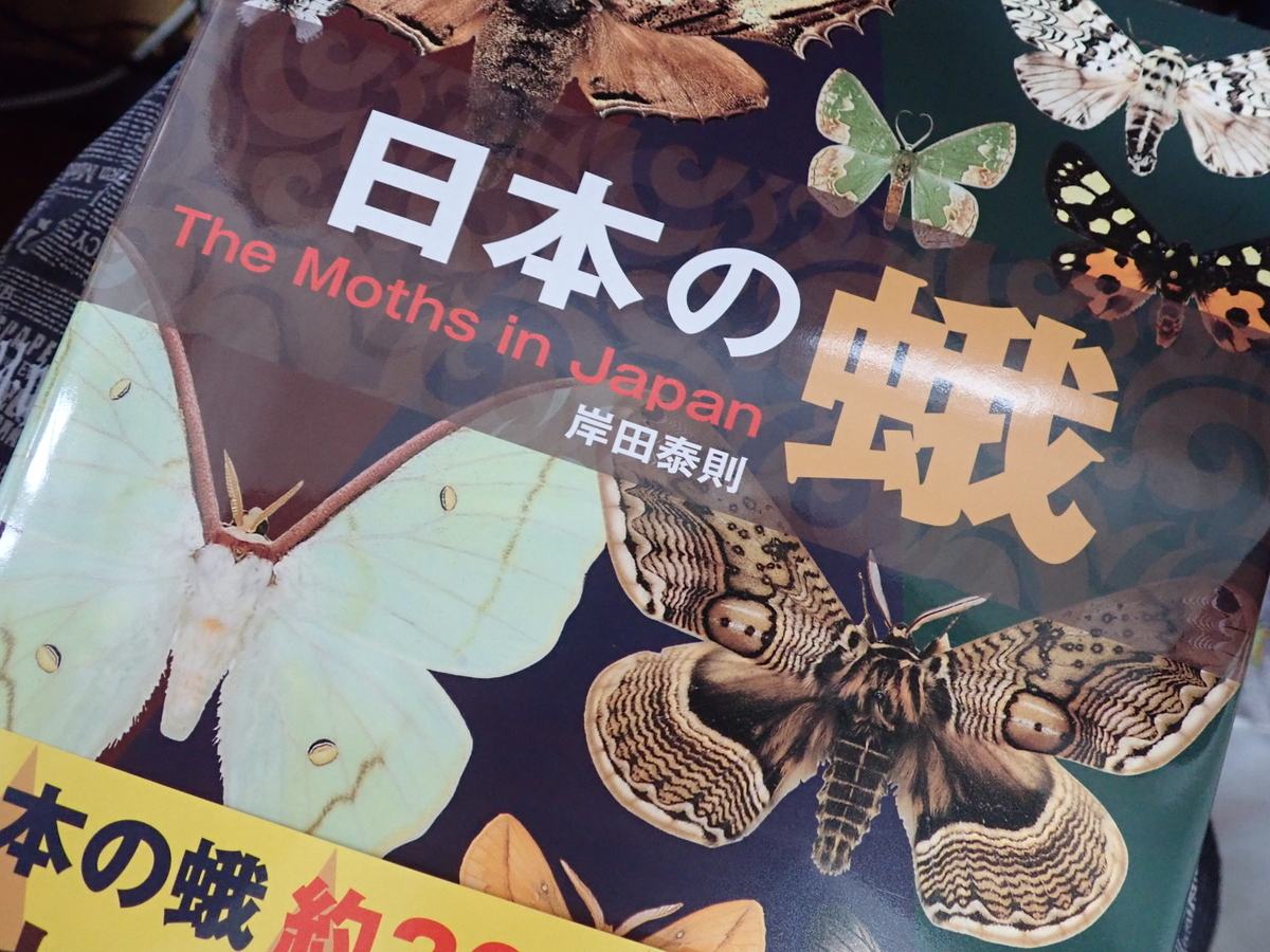 日本の蛾のレビュー。蛾の図鑑で迷ったら今はこれな理由。 - 蓼食う虫