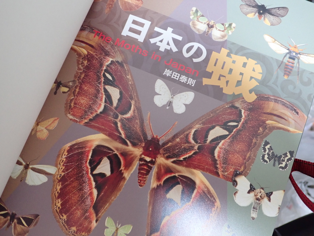 日本の蛾のレビュー。蛾の図鑑で迷ったら今はこれな理由。 - 蓼食う虫