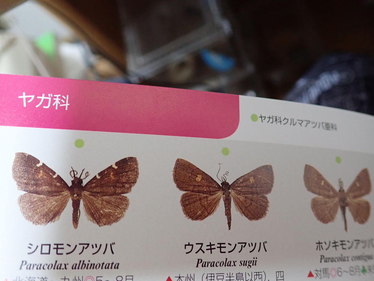 日本の蛾のレビュー。蛾の図鑑で迷ったら今はこれな理由。 - 蓼食う虫