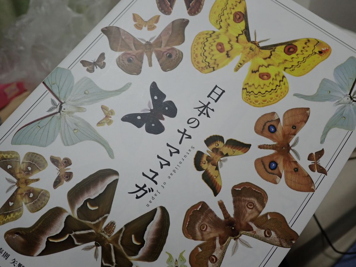 日本のヤママユのレビュー。大型種の愛好家なら持ちたいおすすめの図鑑