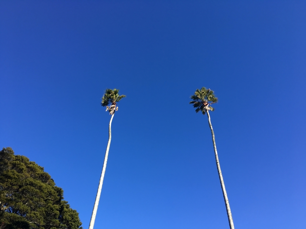 f:id:blue723moon:20180531202928j:plain