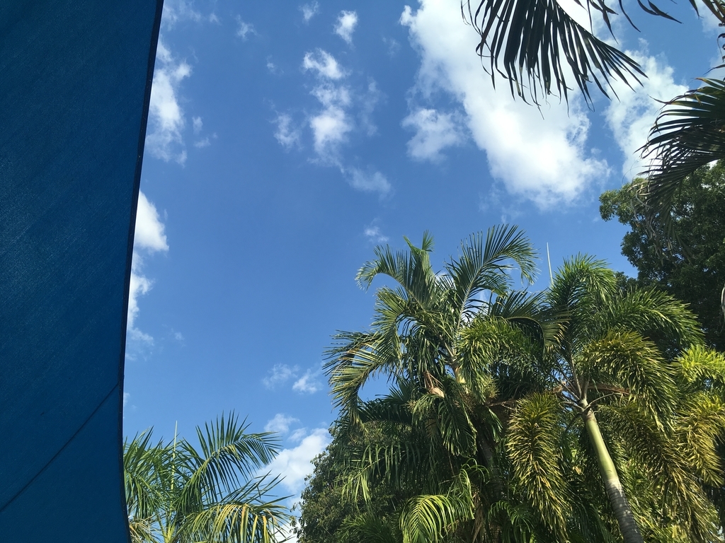 f:id:blue723moon:20180907104237j:plain