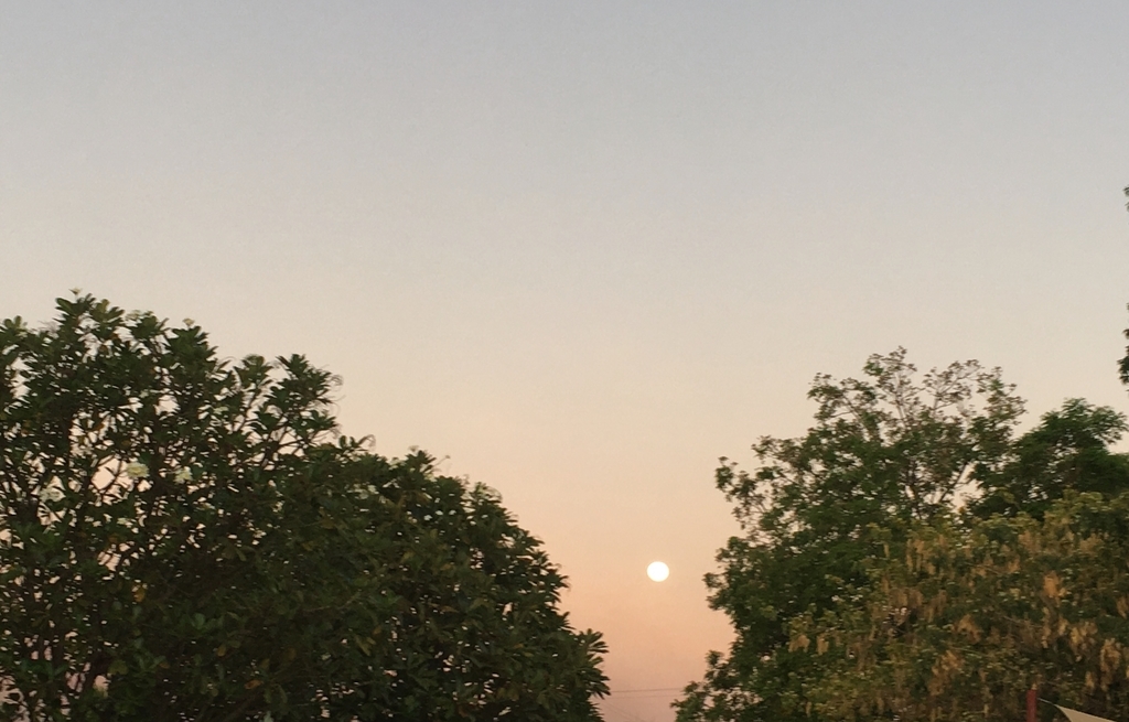 f:id:blue723moon:20180924220734j:plain