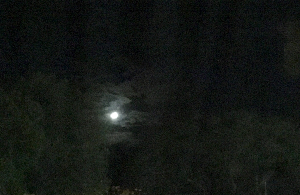 f:id:blue723moon:20181002050032j:plain