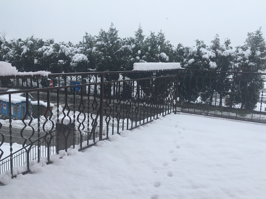 f:id:blue723moon:20181221215151j:plain