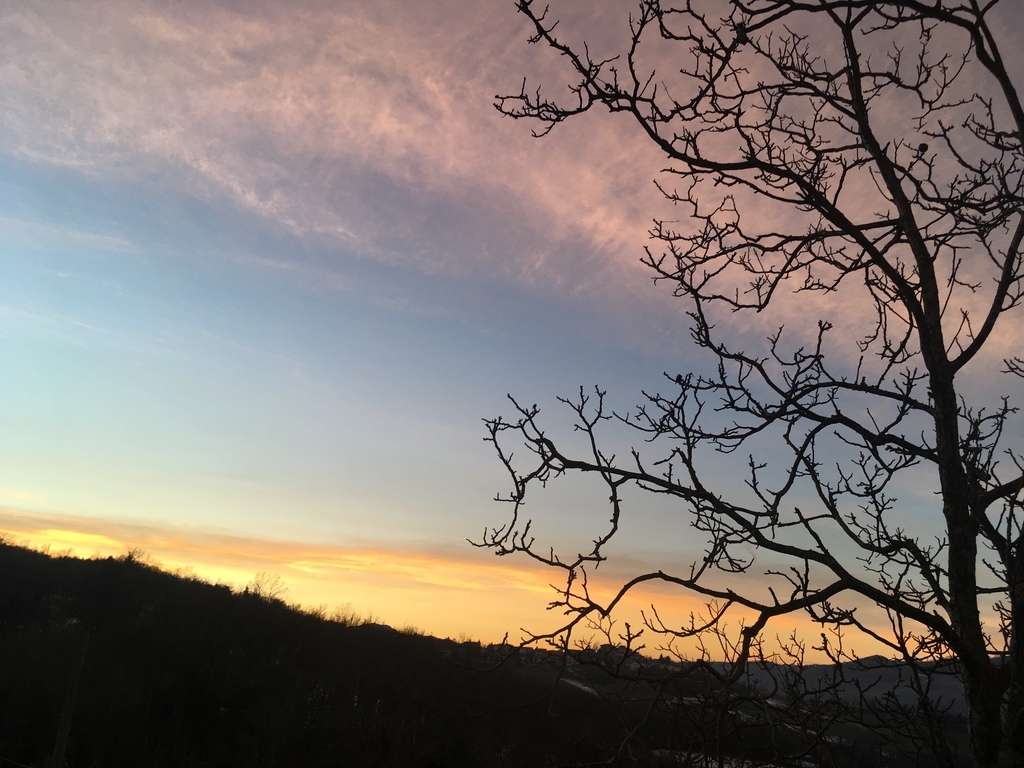f:id:blue723moon:20181226084720j:plain
