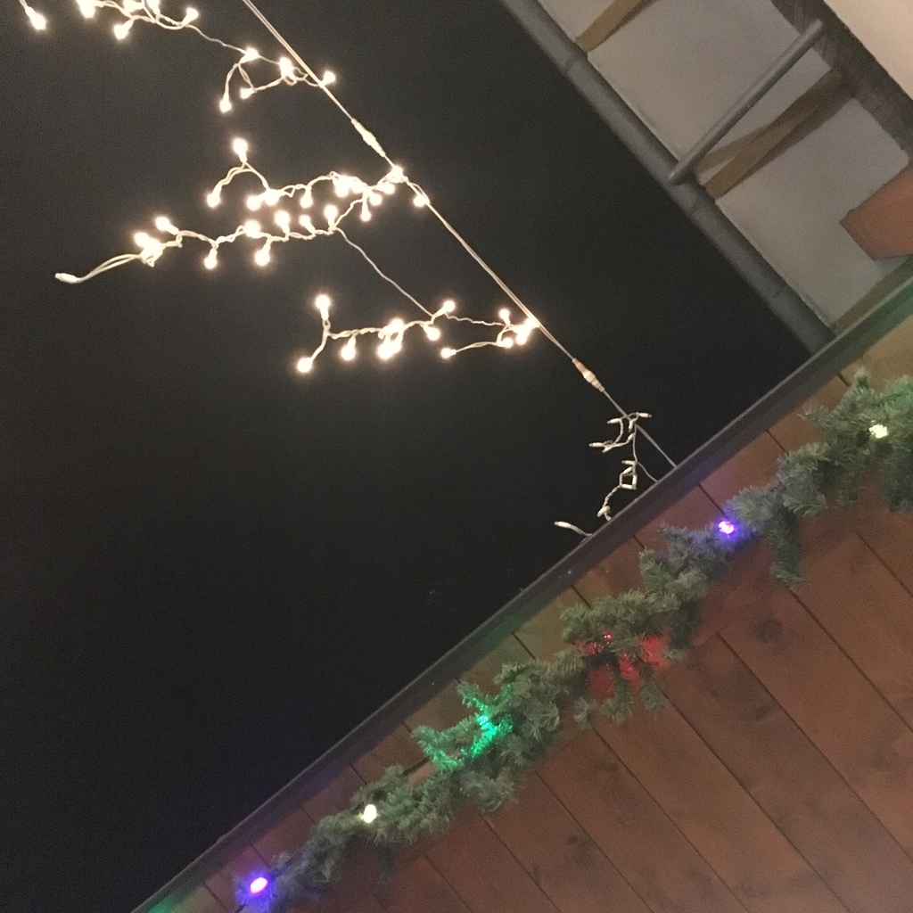 f:id:blue723moon:20181226084918j:plain