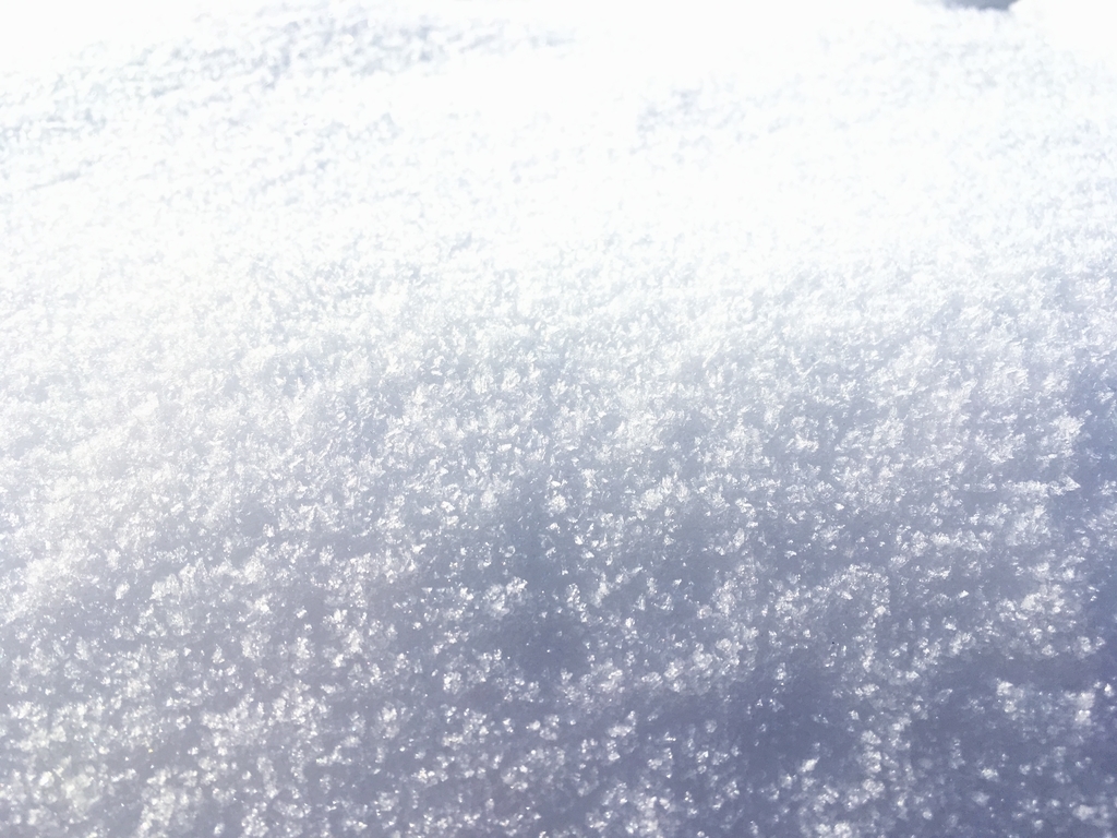 f:id:blue723moon:20190125231140j:plain