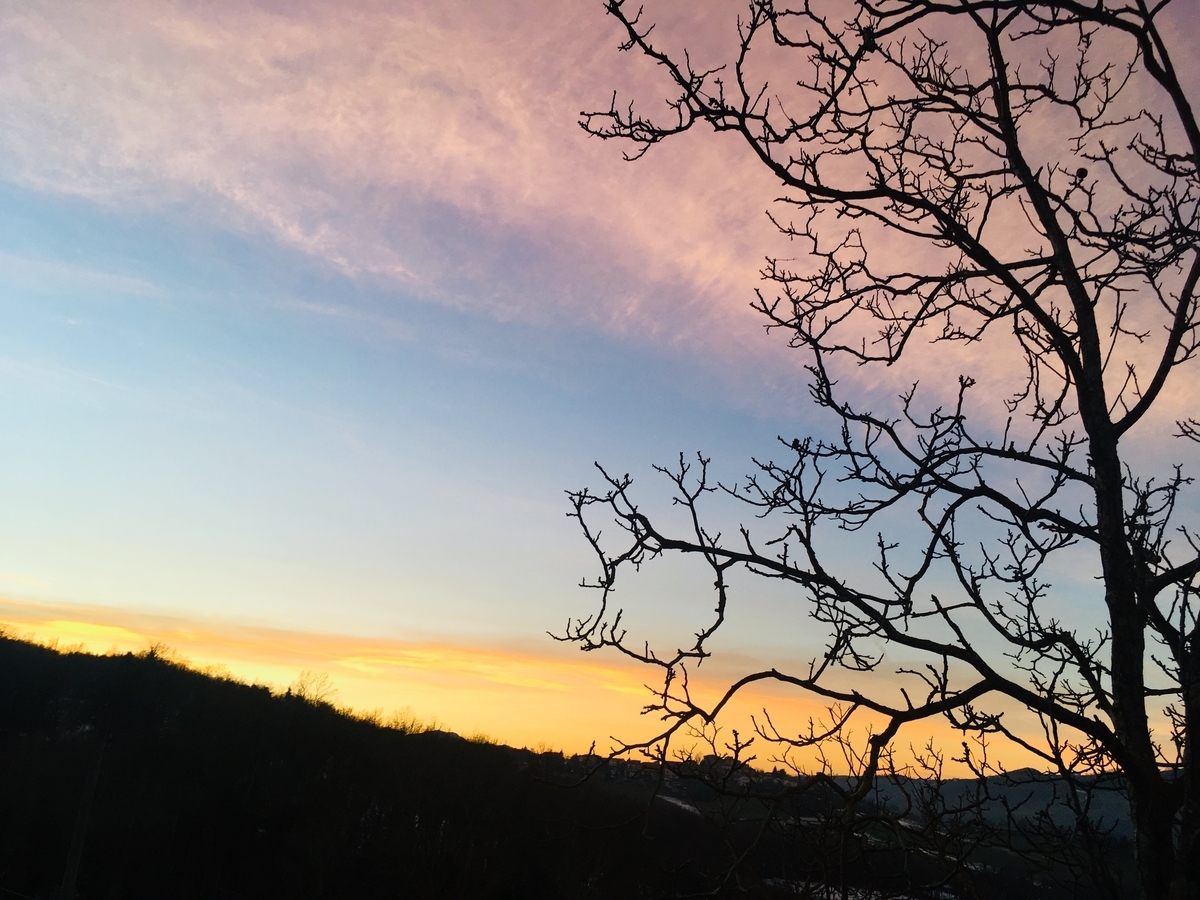 f:id:blue723moon:20190605224244j:plain