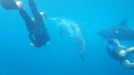 f:id:blueX3:20120712115730j:image