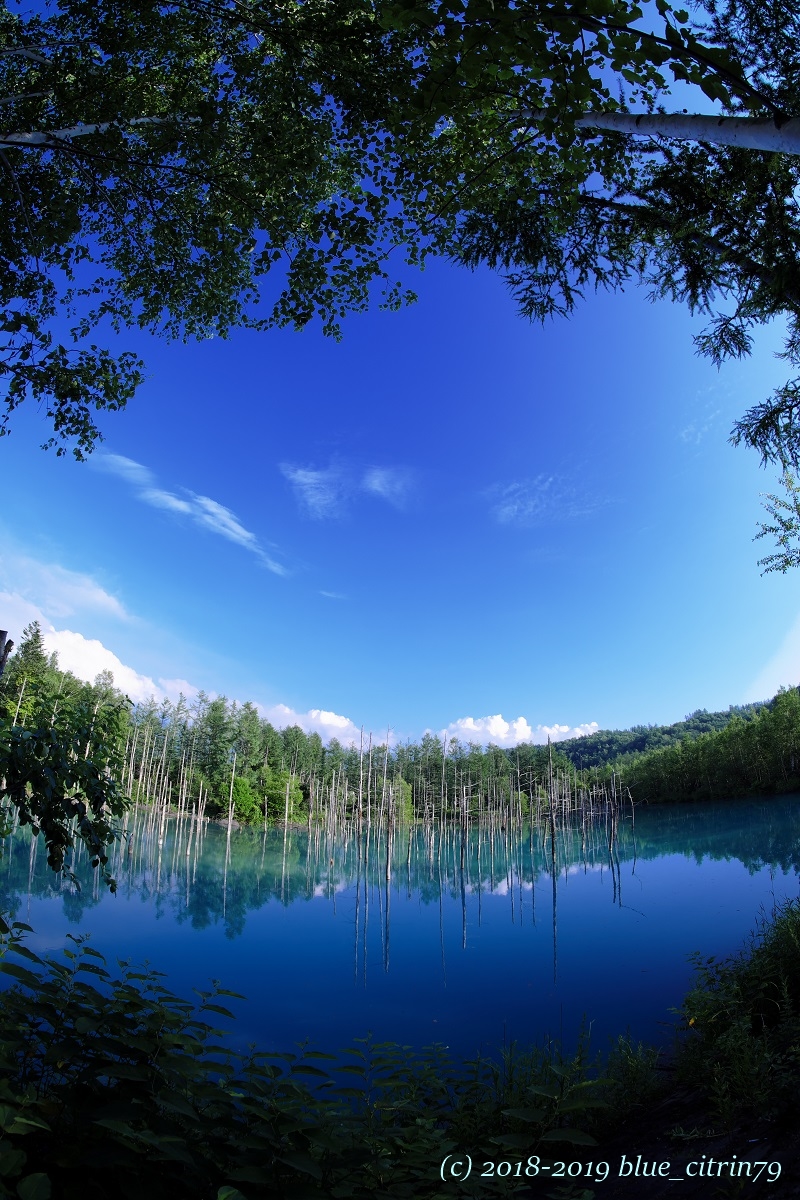 f:id:blue_citrin79:20190524235735j:plain