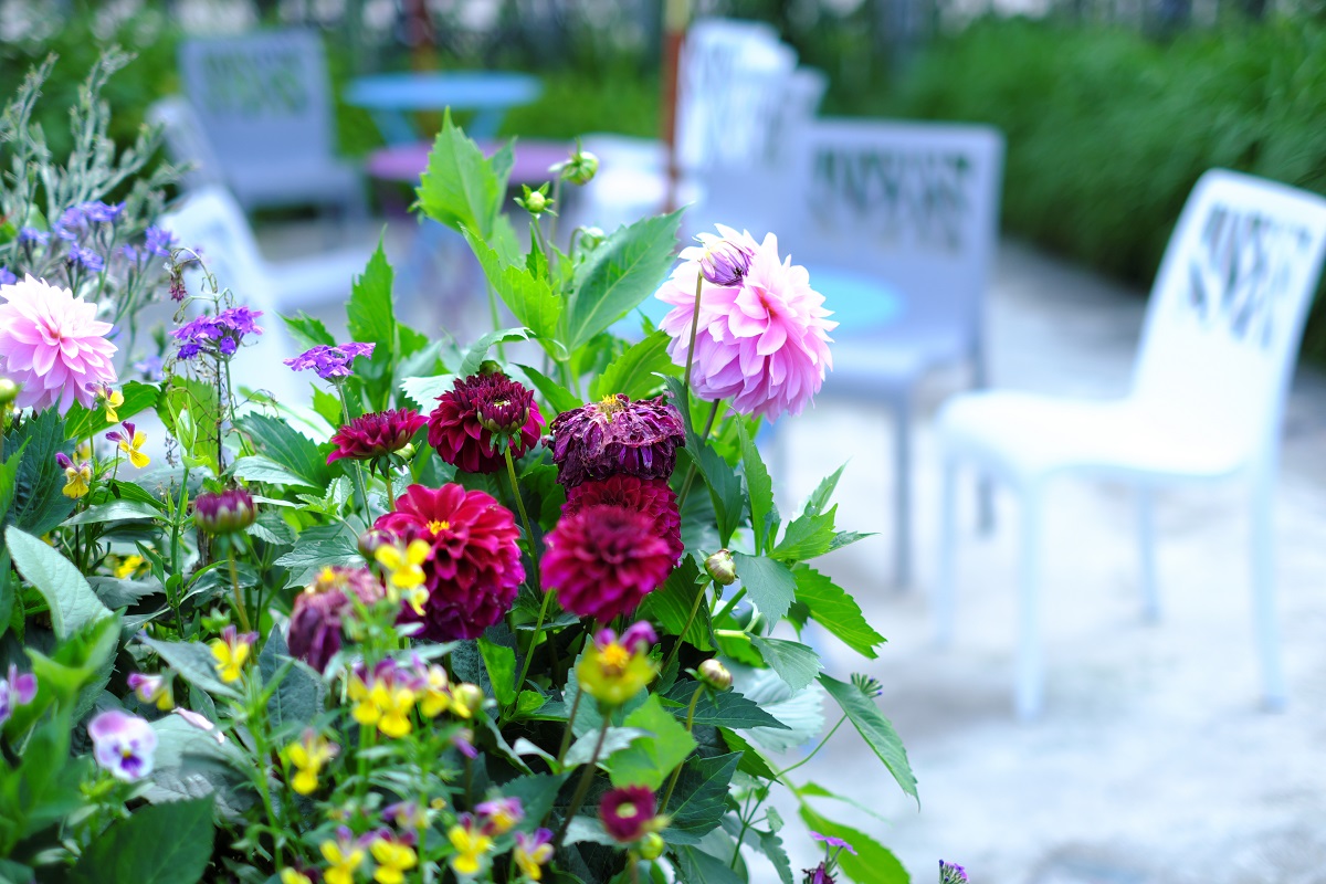 f:id:blue_citrin79:20190531233420j:plain f:id:blue_citrin79:20190531233420j:plain