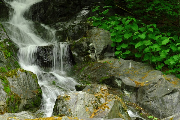 f:id:blue_citrin79:20190607235424j:plain f:id:blue_citrin79:20190607235424j:plain