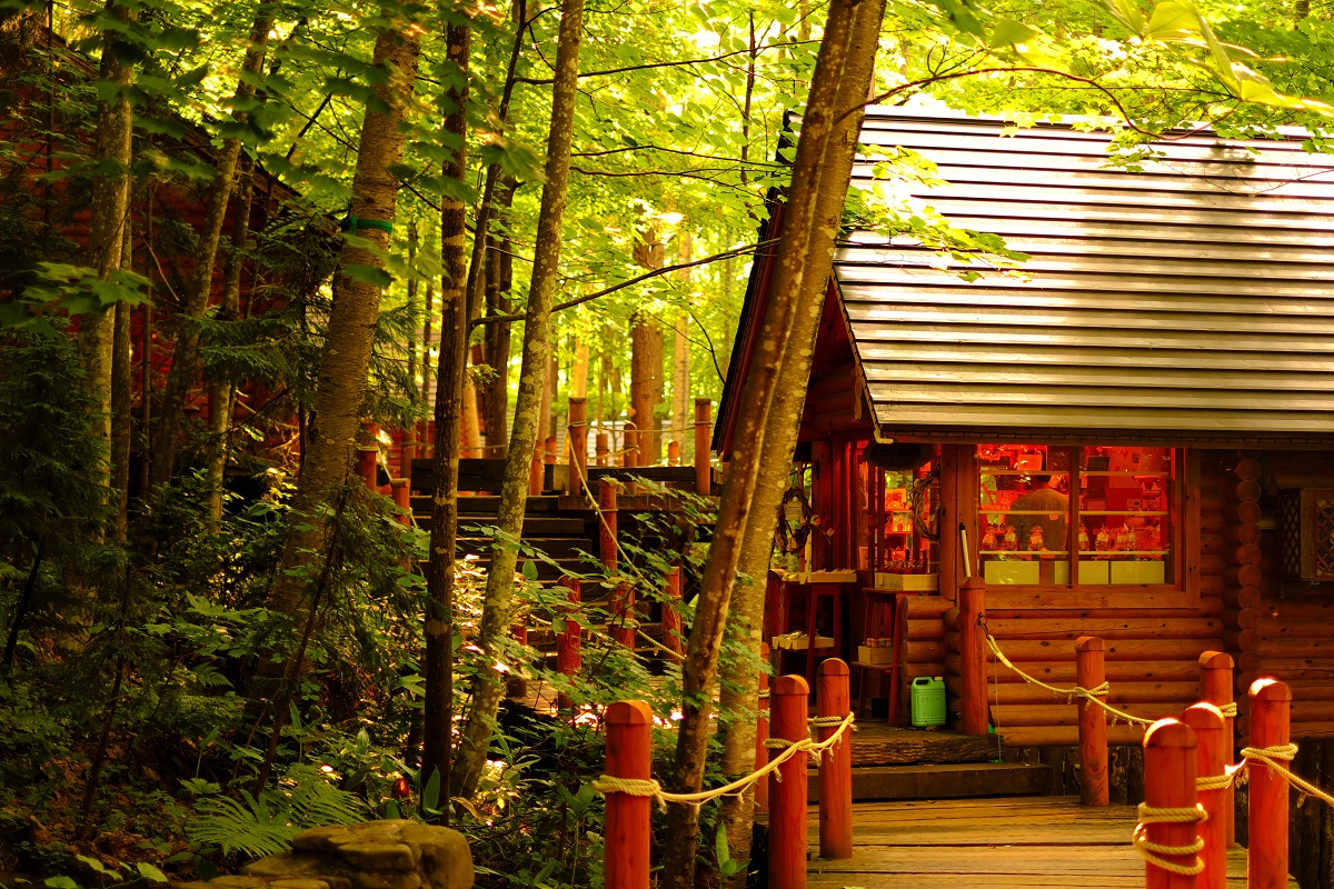 f:id:blue_citrin79:20190610235113j:plain