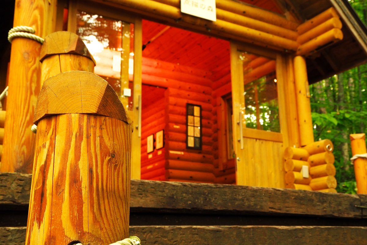 f:id:blue_citrin79:20190610235403j:plain