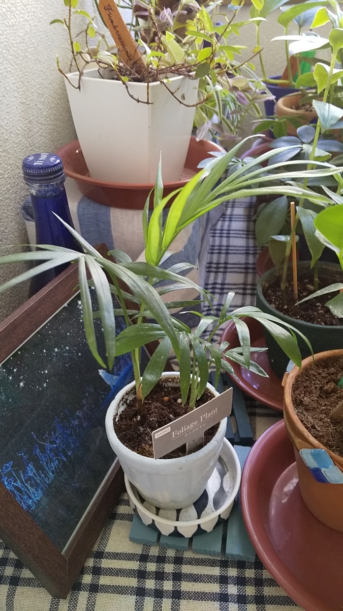 f:id:blue_egle:20190915142425j:plain