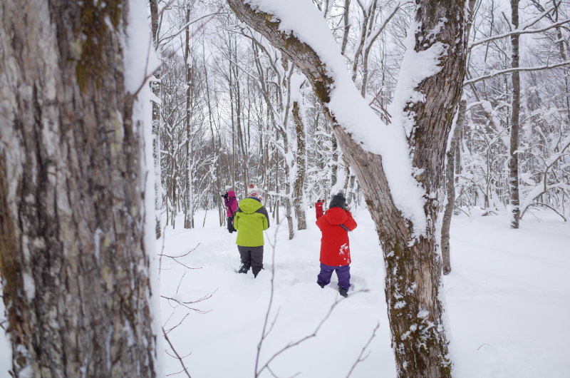 f:id:blue_moment:20160111130241j:plain