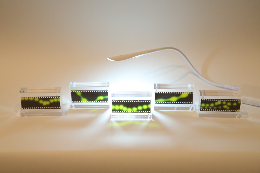 f:id:blue_moment:20170224003018j:plain f:id:blue_moment:20170224003018j:plain