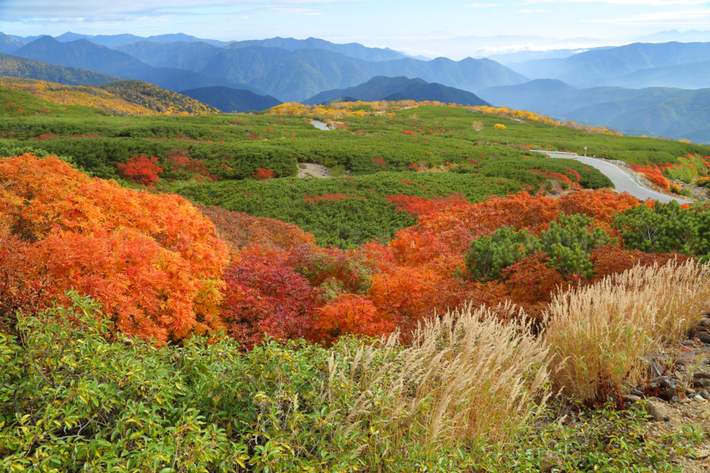 山の風景撮影術・入門編 ファットフォト写真教室 - The moment