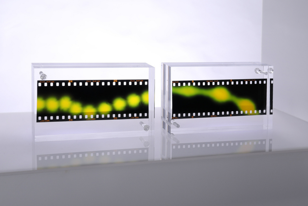 f:id:blue_moment:20171120012156j:plain f:id:blue_moment:20171120012156j:plain