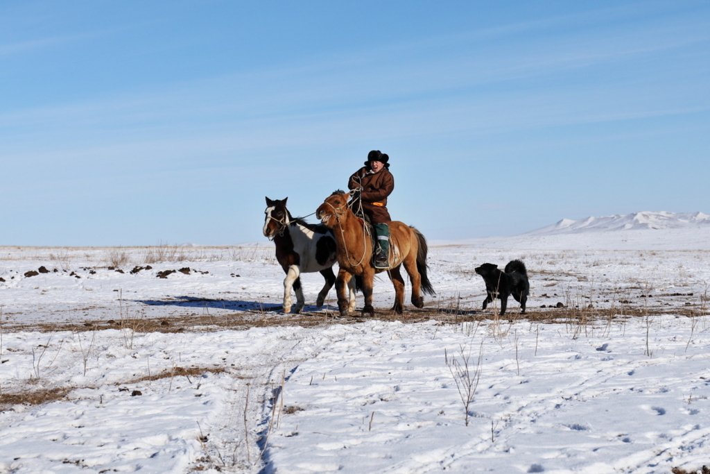 f:id:blue_moment:20171125123746j:plain f:id:blue_moment:20171125123746j:plain