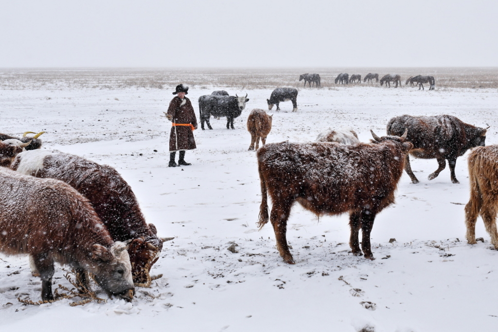 f:id:blue_moment:20171125155235j:plain f:id:blue_moment:20171125155235j:plain