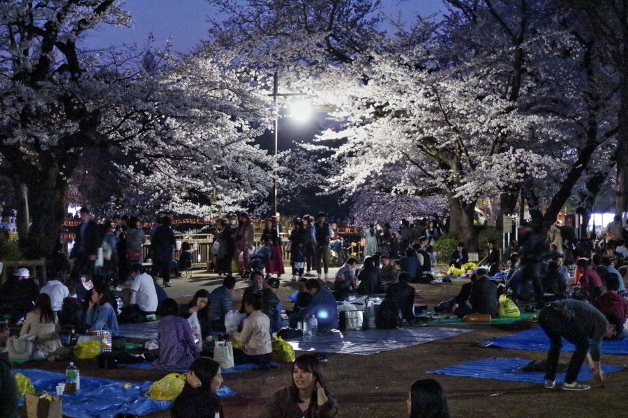 f:id:blue_moment:20180330094630j:plain f:id:blue_moment:20180330094630j:plain