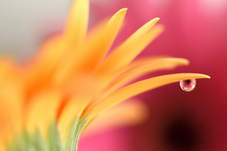 f:id:blue_moment:20180507084328p:plain f:id:blue_moment:20180507084328p:plain