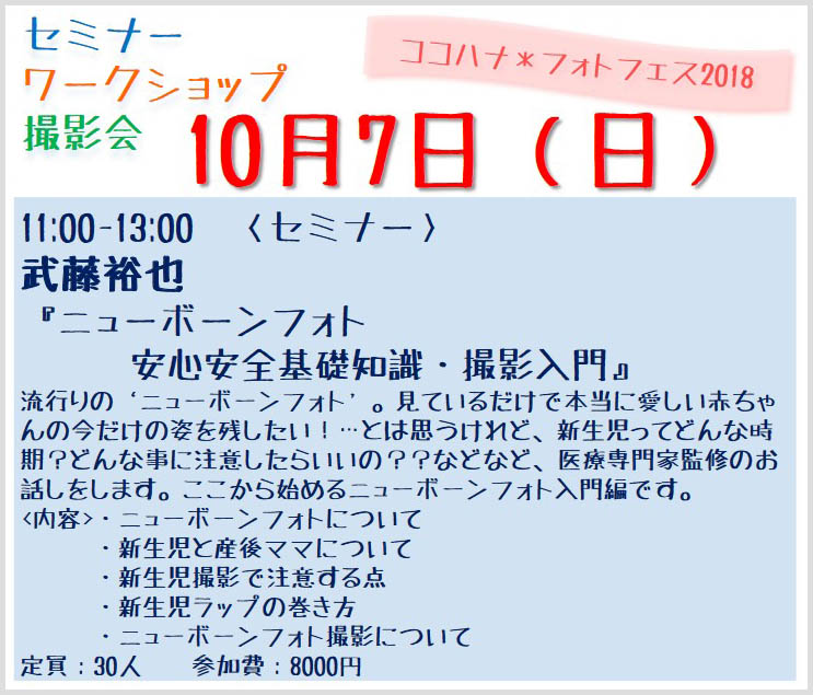 f:id:blue_moment:20180916214648j:plain