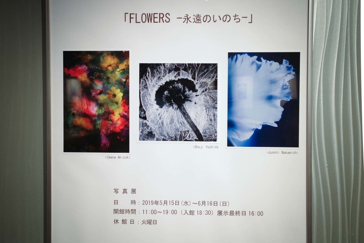 f:id:blue_moment:20190609131941j:plain