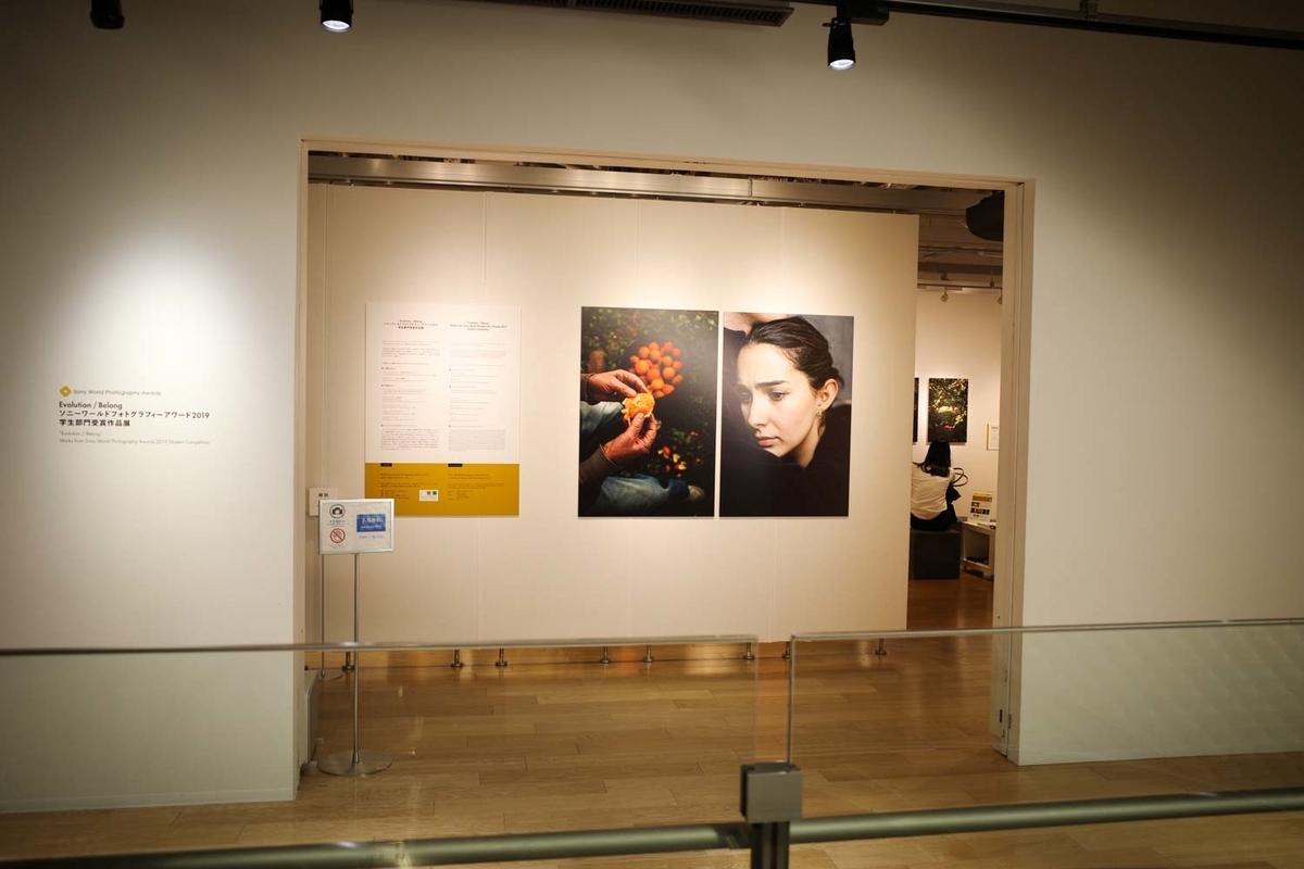 f:id:blue_moment:20190609132509j:plain