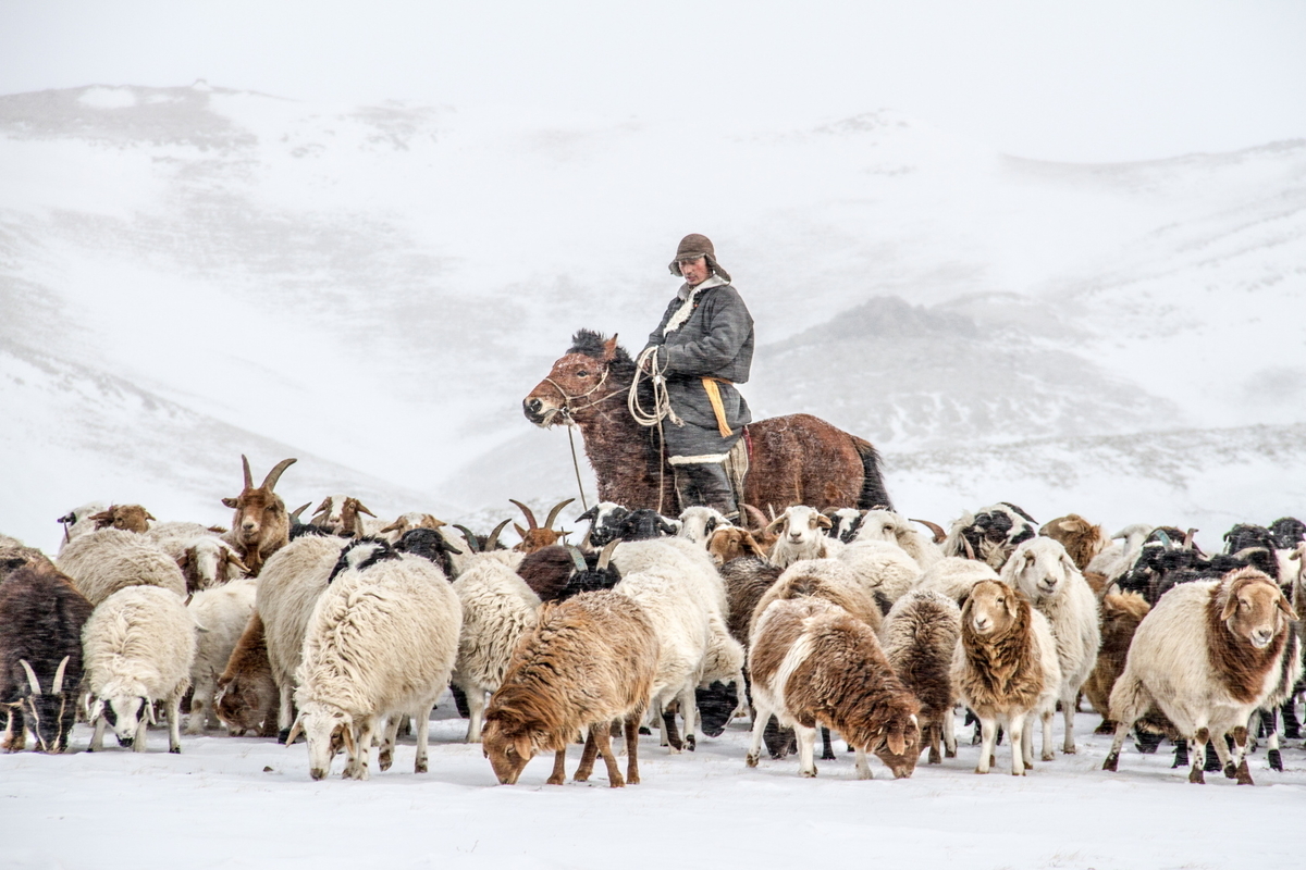 f:id:blue_moment:20190926190607j:plain