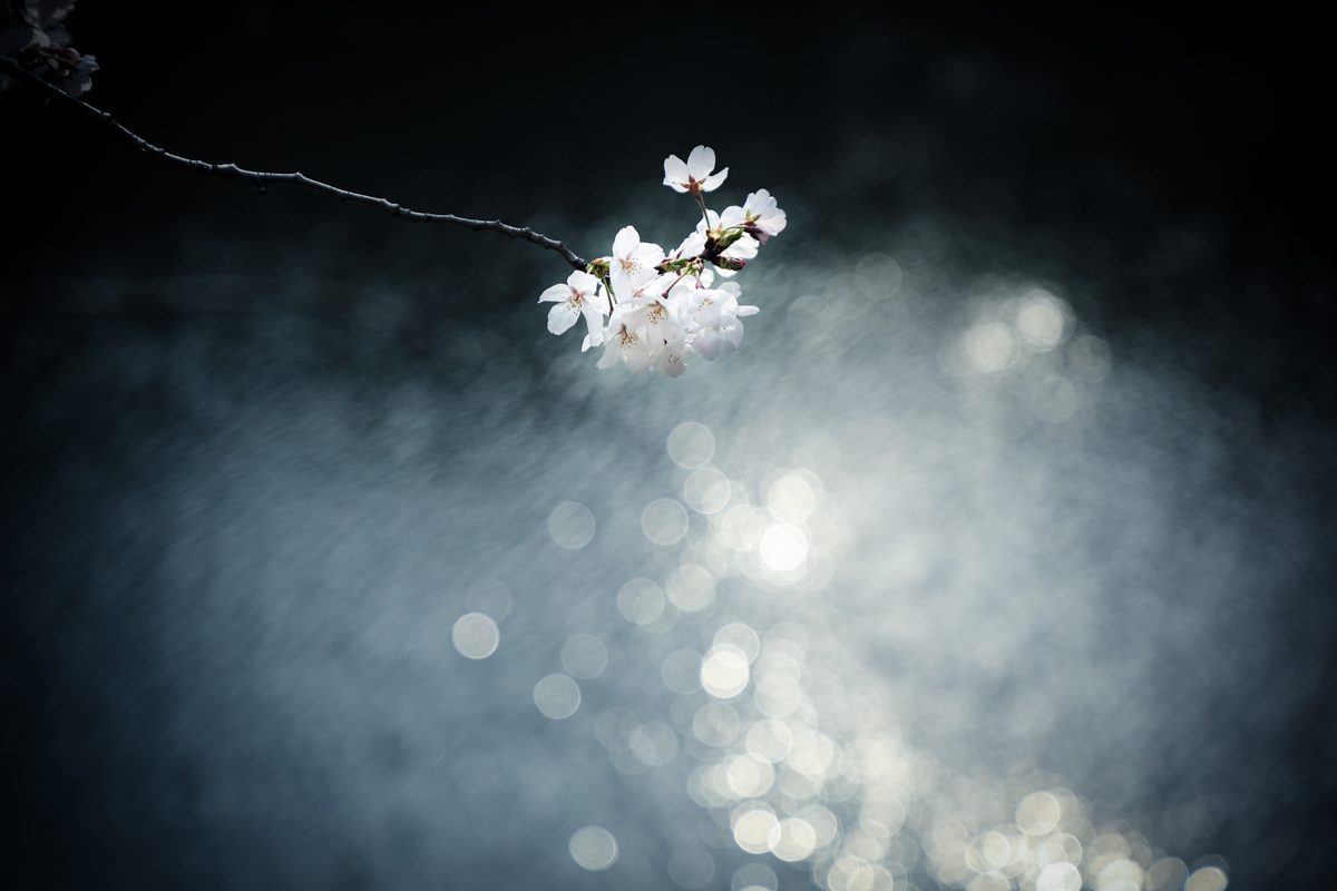 f:id:blue_moment:20210322185732j:plain