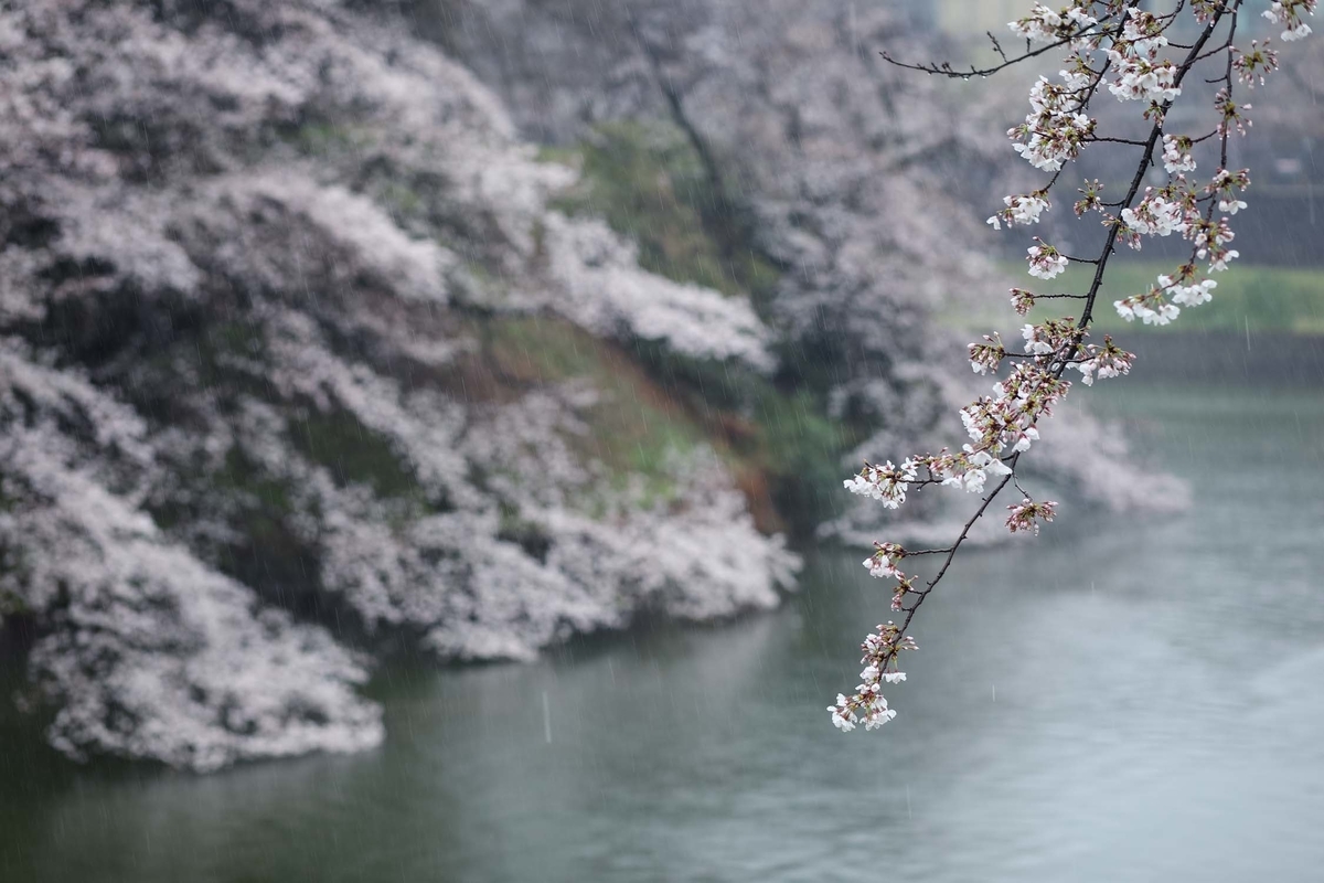 f:id:blue_moment:20210322192642j:plain