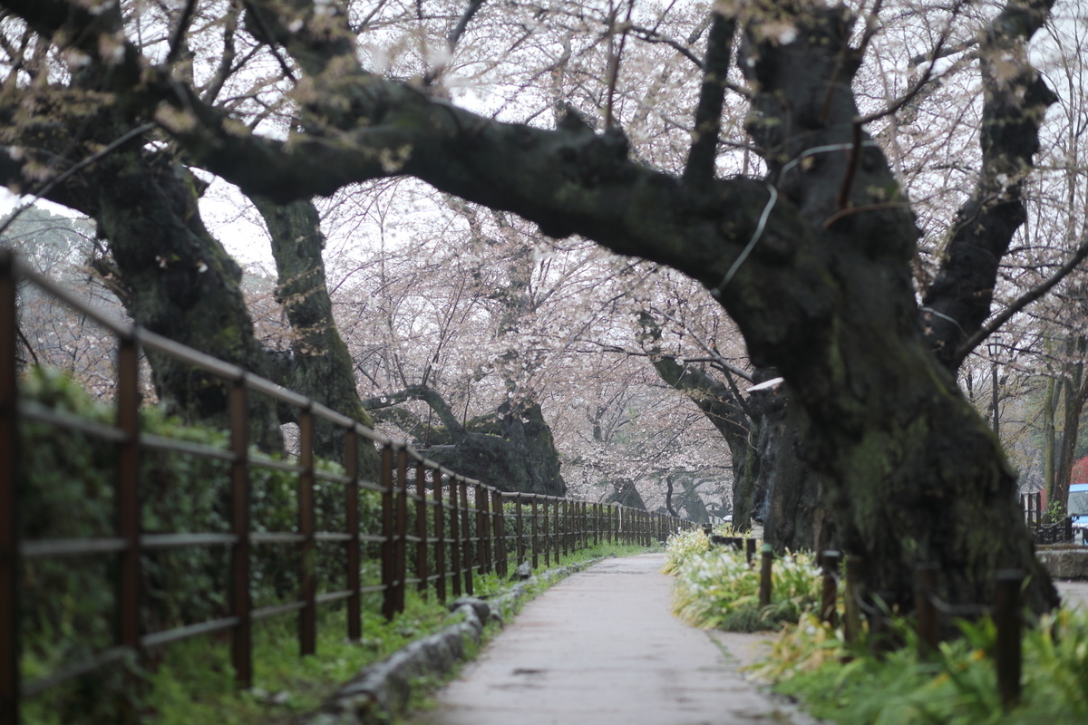 f:id:blue_moment:20210322193121j:plain