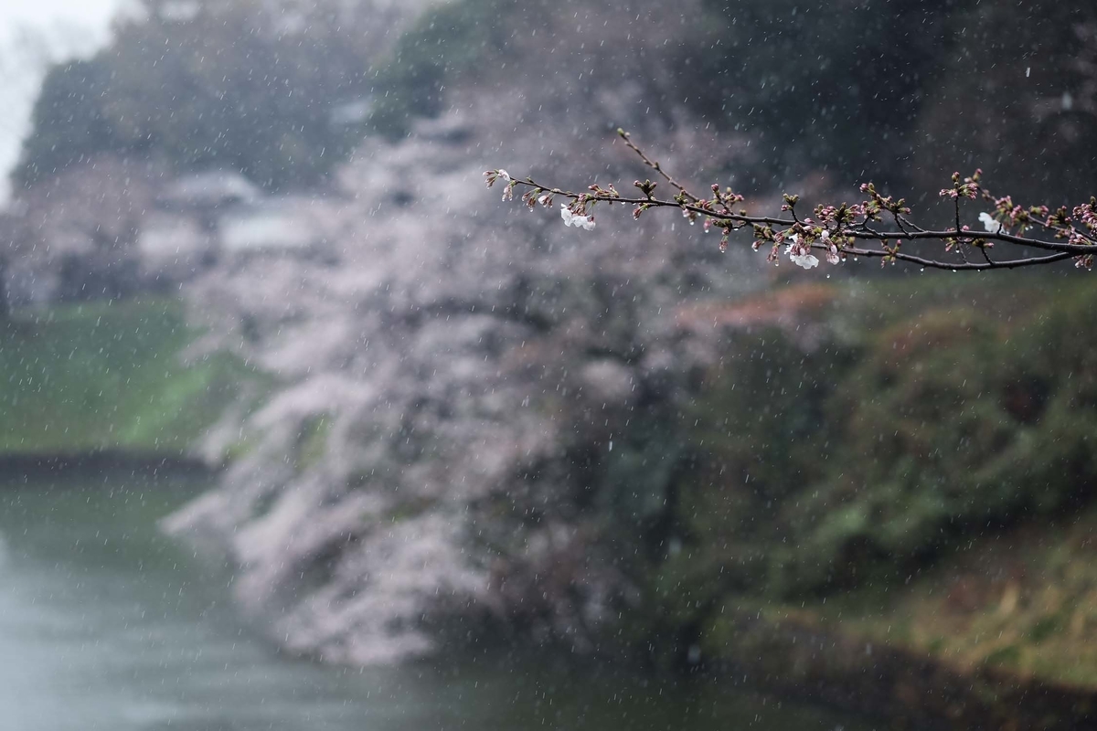 f:id:blue_moment:20210322193255j:plain