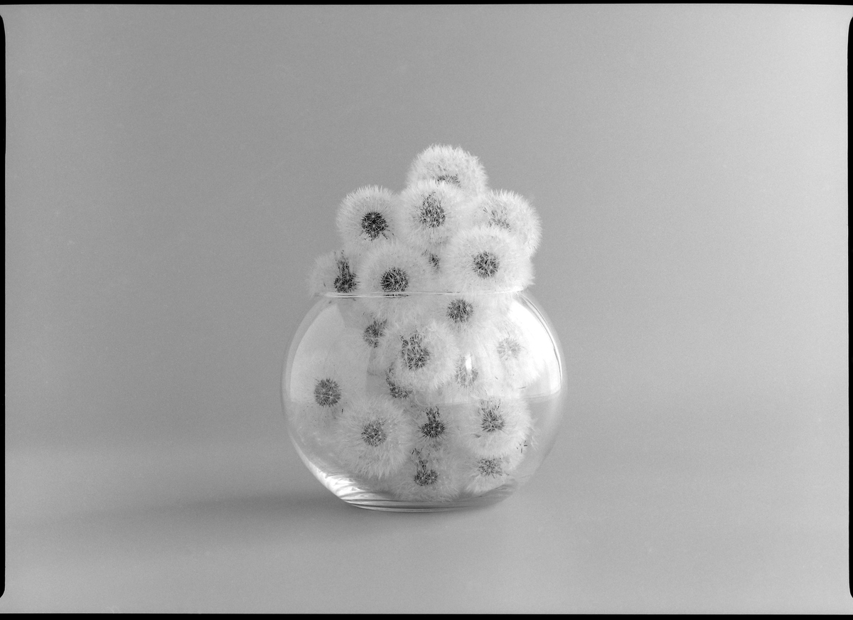 f:id:blue_moment:20210406131218j:plain