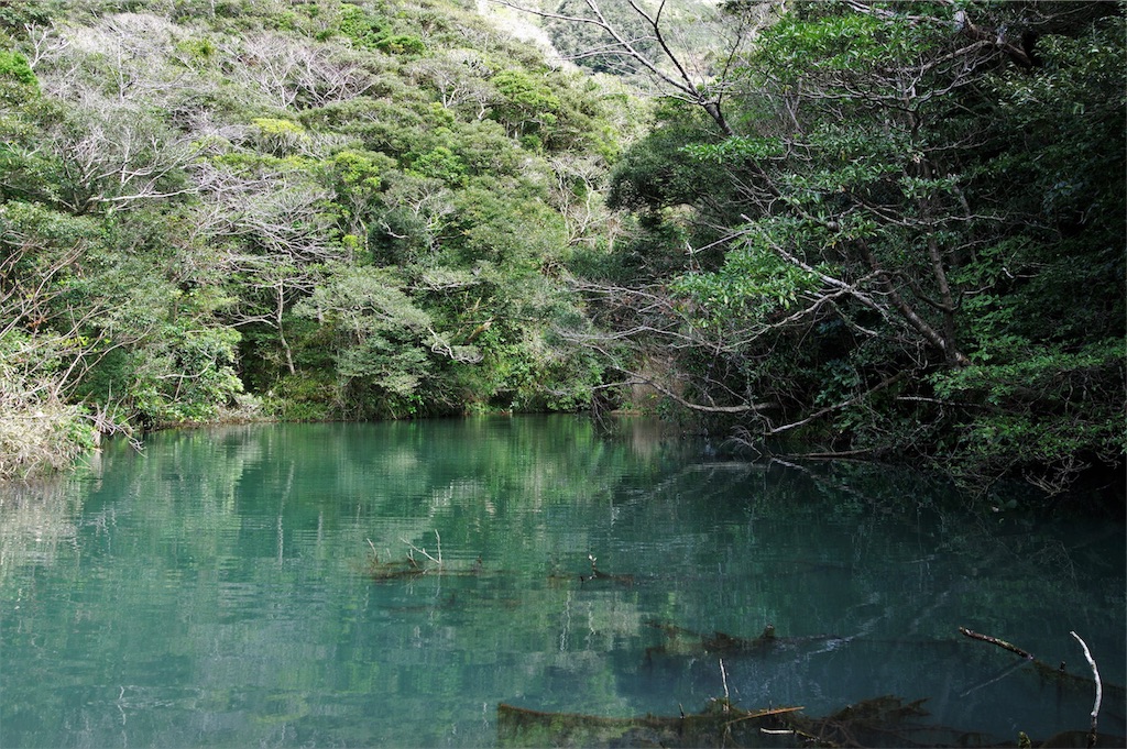 f:id:blue_rock53:20190519154127j:image