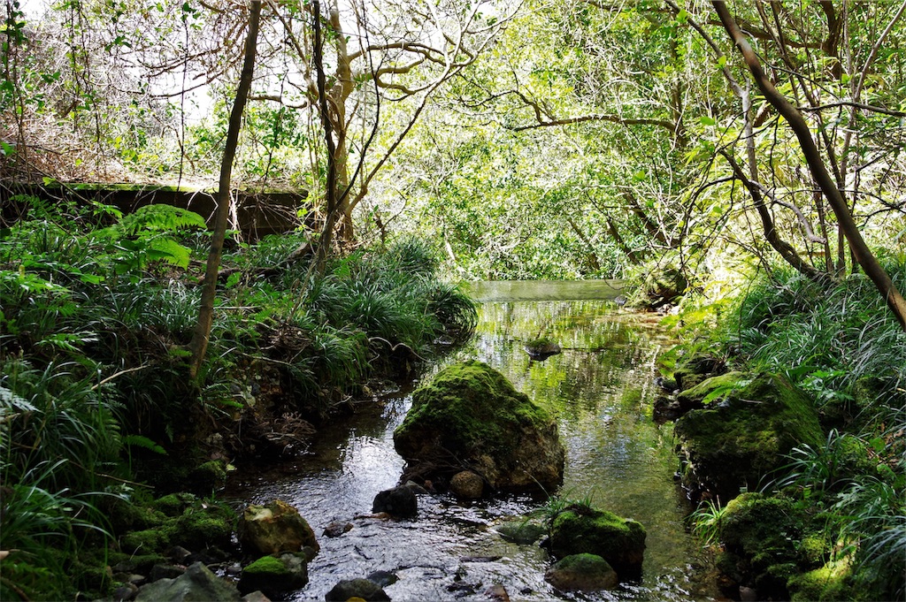 f:id:blue_rock53:20190519154133j:image