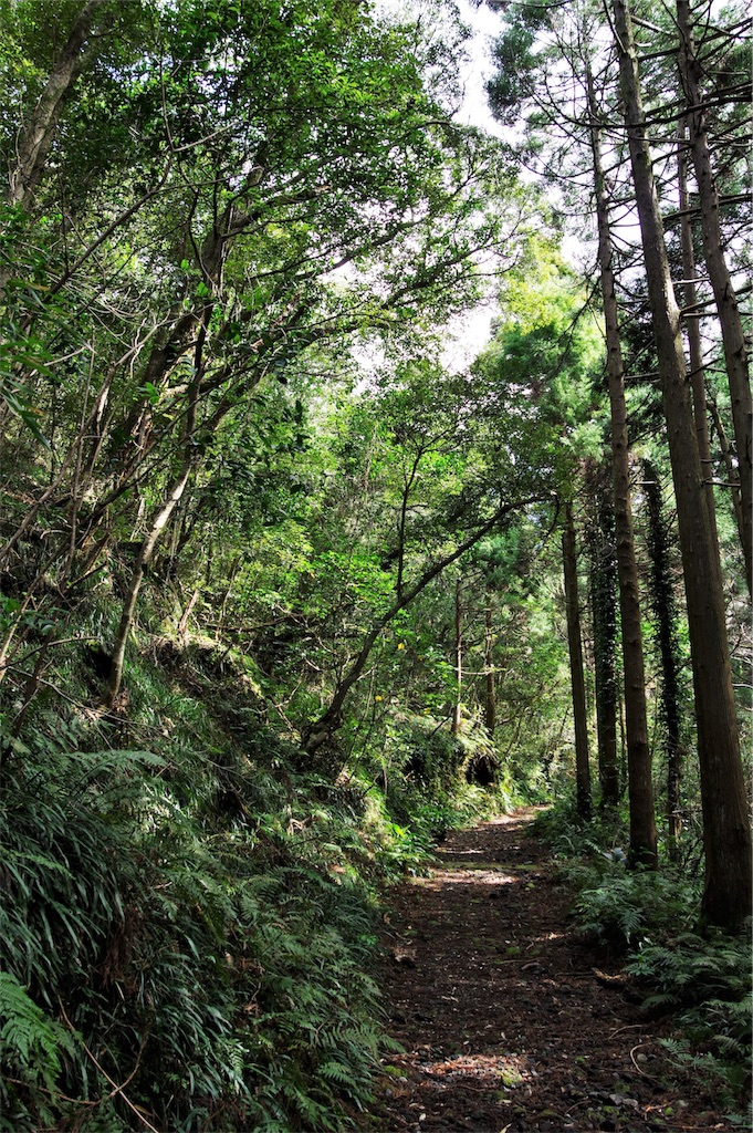 f:id:blue_rock53:20190519154137j:image