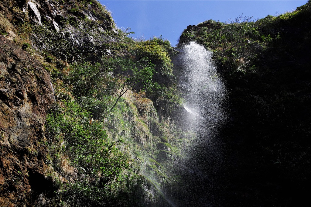 f:id:blue_rock53:20190519154149j:image