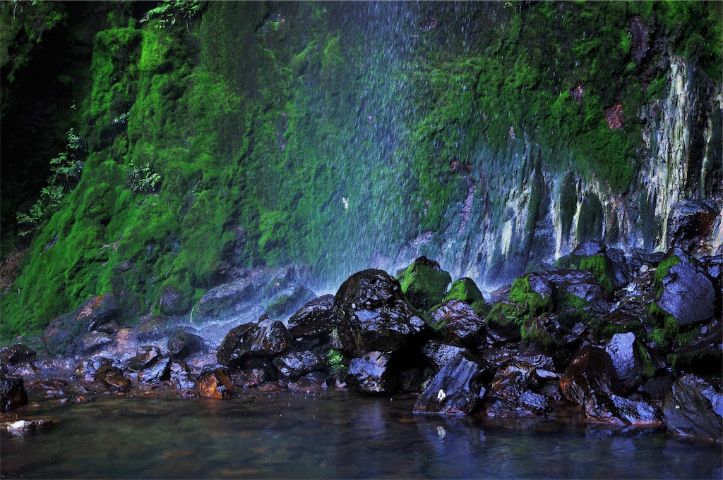 f:id:blue_rock53:20190519154203j:image