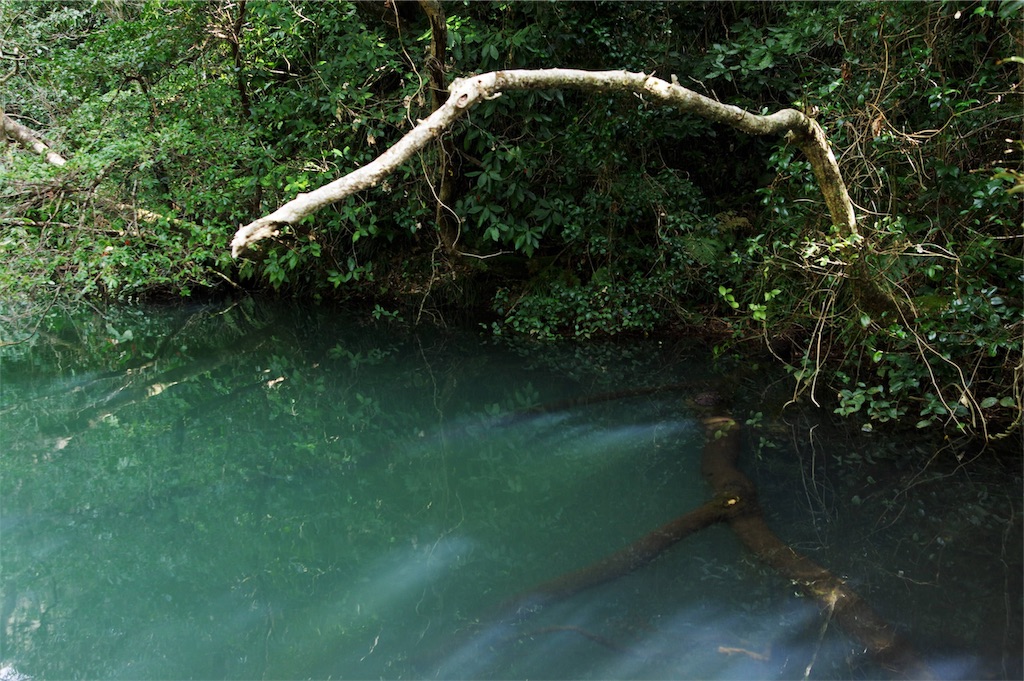 f:id:blue_rock53:20190519154218j:image