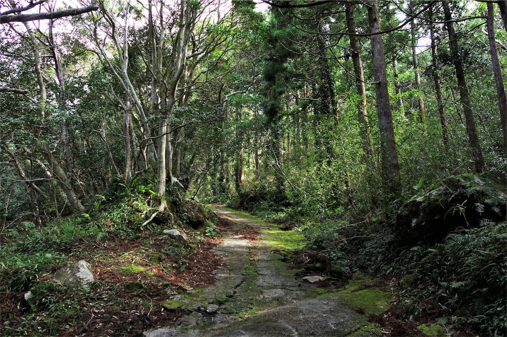 f:id:blue_rock53:20190519154224j:image