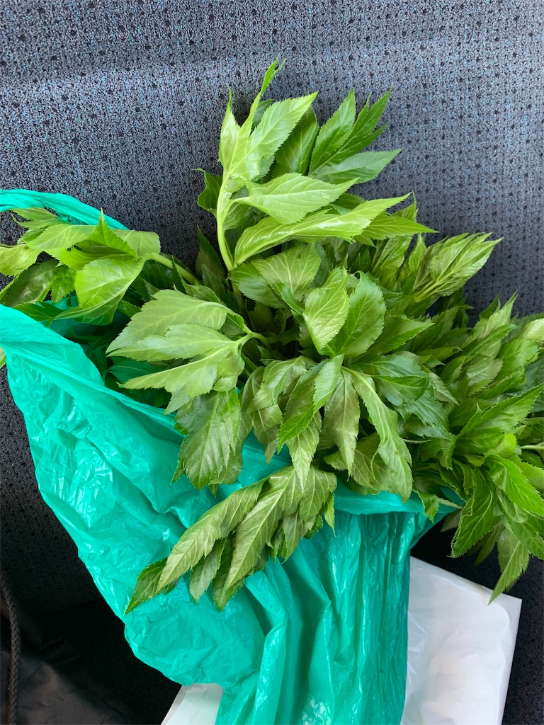 f:id:blue_rock53:20190519155238j:image